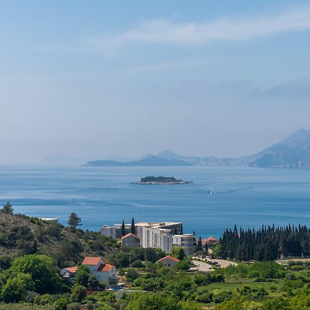 Pansion Arte Zvrko Apartman Zvekovica Kültér fotó