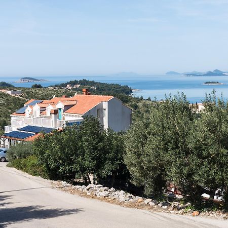 Pansion Arte Zvrko Apartman Zvekovica Kültér fotó